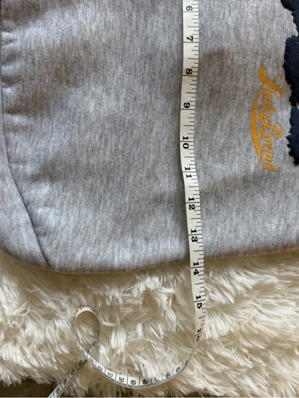 Lucky Brand Mountain Graphic Medium Dog Hoodie Gray